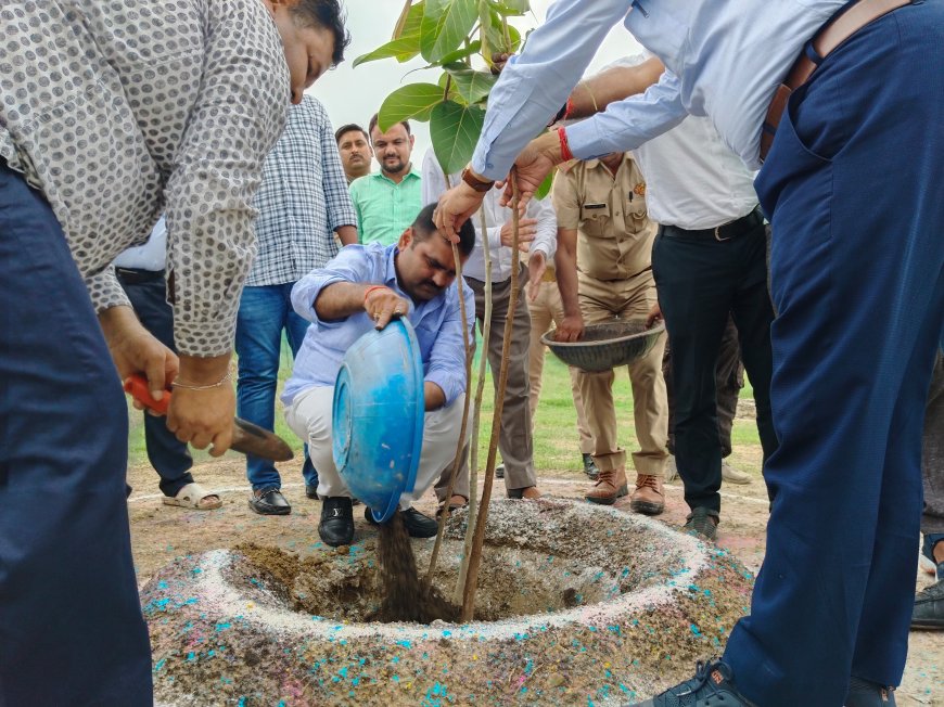 विधायक अंकुर राज तिवारी ने खलीलाबाद तहसील परिसर में किया वृक्षारोपण