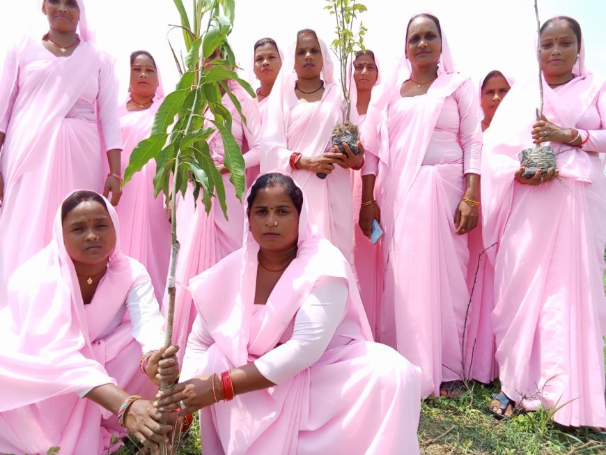 गुलाबी गैंग द्वारा वृक्षारोपण अभियान चलाकर 10 हज़ार से ज्यादा पौधे लगाने का लिया संकल्प