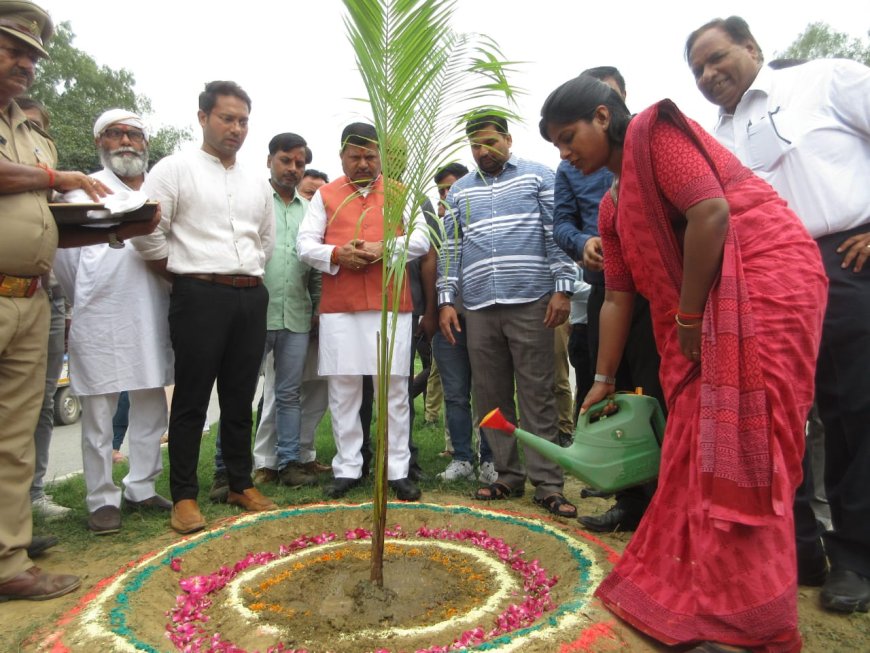 राज्य मंत्री नगर विकास माननीय राकेश राठौर गुरु ने किया वृक्षारोपण का शुभारंभ