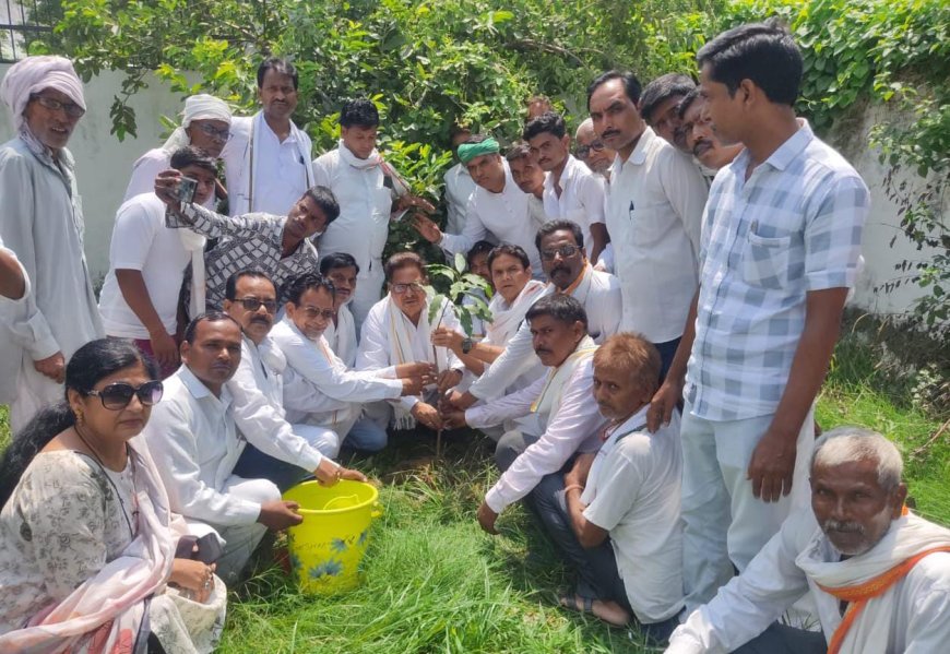 राजीव गांधी वृक्षारोपण अभियान के अंतर्गत किया गया पौधारोपण