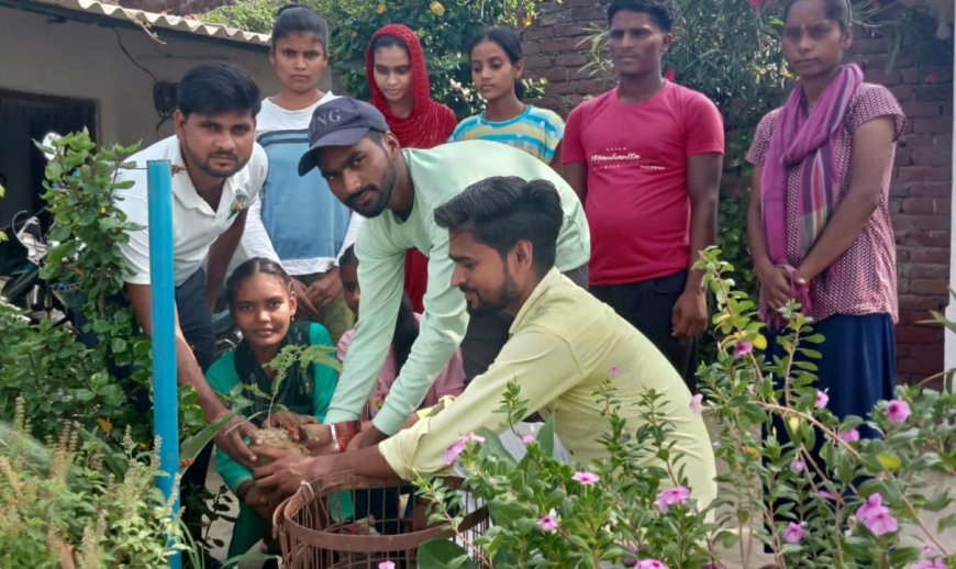 ए के कंप्यूटर इंटीट्यूट ऑफ टेक्नोलॉजी कोचिंग सेंटर पर किया गया वृक्षारोपण