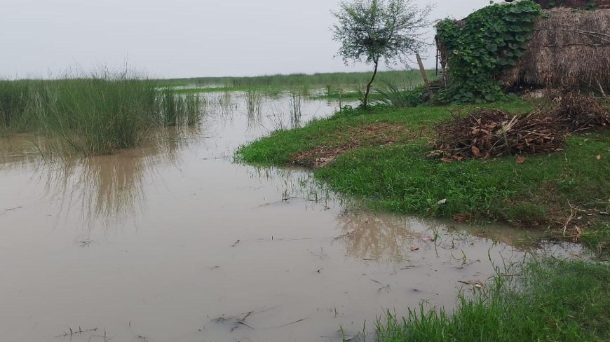 सरयू नदी का जल स्तर खतरे के निशान को किया पार तराई के बाढ प्रभावित गांवों में दहशत का माहौल