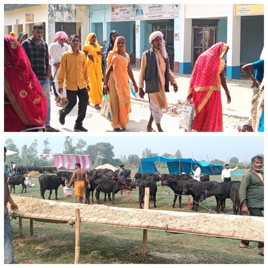 बड़े बाबा के दरबार में उमडा आस्था का जन सैलाव हजारों श्रद्धालुओं ने माथा टेका