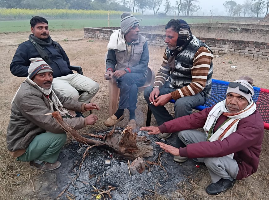 सूरज न निकलने से बढ़ी सर्दी की रफ्तार, घरो में कैद हुए लोग