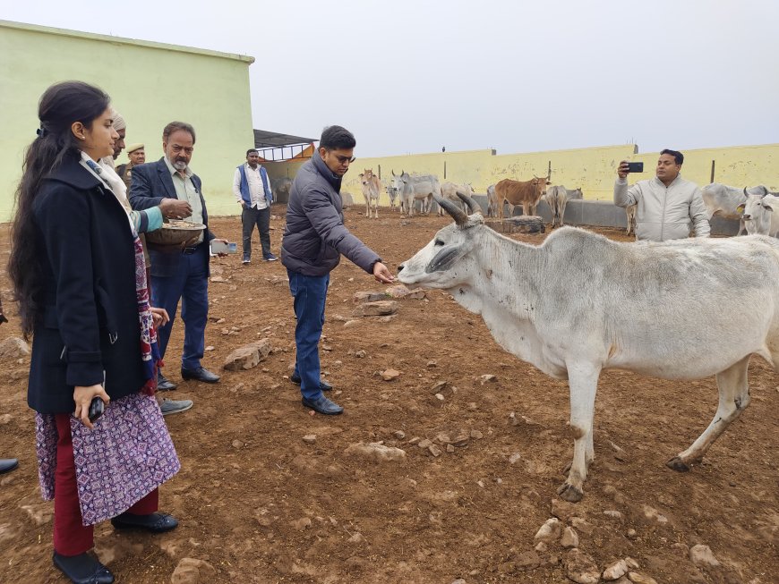 जिलाधिकारी शिवशरणप्पा जीएन ने आज विकासखंड मानिकपुर के ग्राम पंचायत सरैया के गौशाला का निरीक्षण किया।