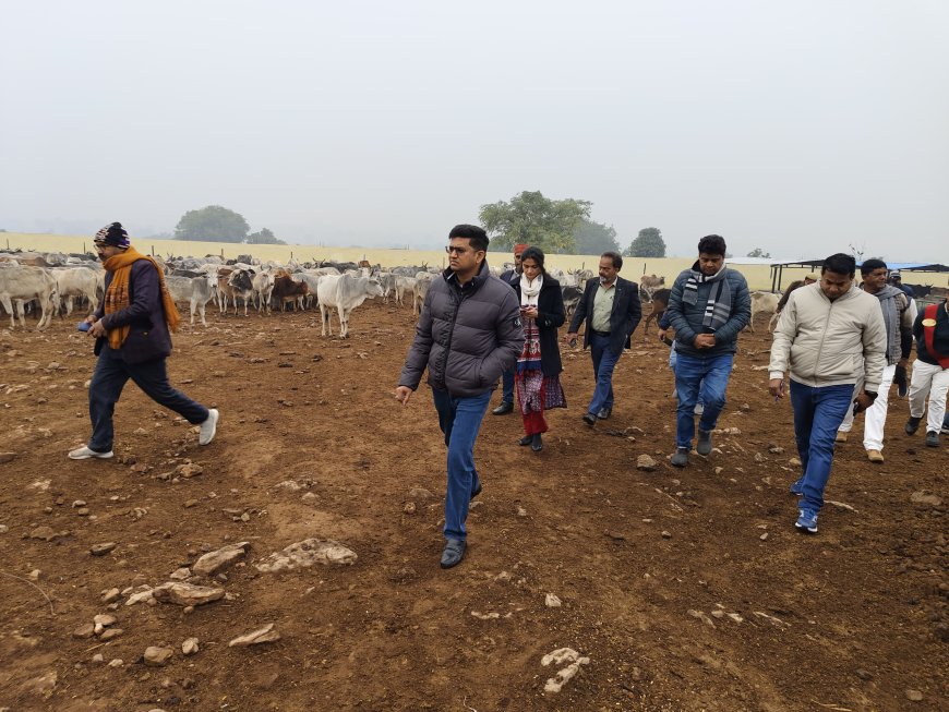 जिलाधिकारी शिवशरणप्पा जीएन ने आज विकासखंड मानिकपुर के ग्राम पंचायत सरैया के गौशाला का निरीक्षण किया।