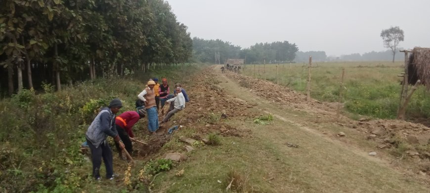 विकासखंड पचपेड़वा मनरेगा में लूट है लूट सको तो लूट