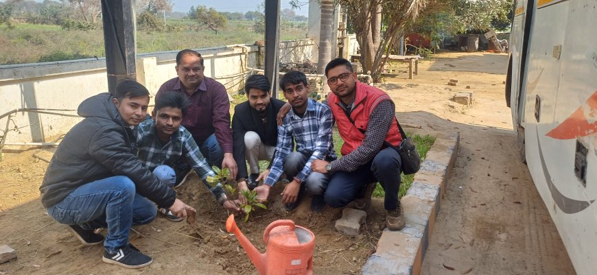 वजरंग दल गौ रक्षा प्रमुख अमन द्वारा जन्मदिन पर पौधारोपण