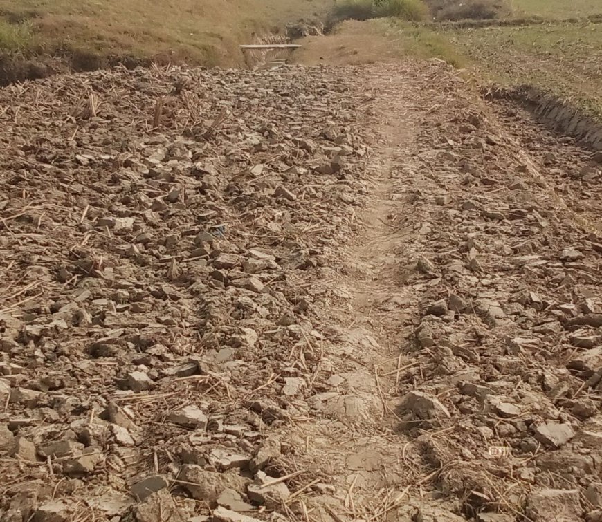 डीसी मनरेगा वीडियो ठुडवलिया आदम तारा ग्राम पंचायत में कब  तक होते रहेंगे मनरेगा में लूट