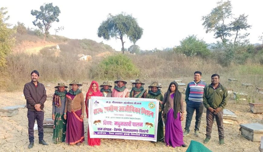 मधुमक्खी पालन से स्व सहायता समूह की महिलाओं ने बड़ाया लखपति दीदी बनने की ओर कदम