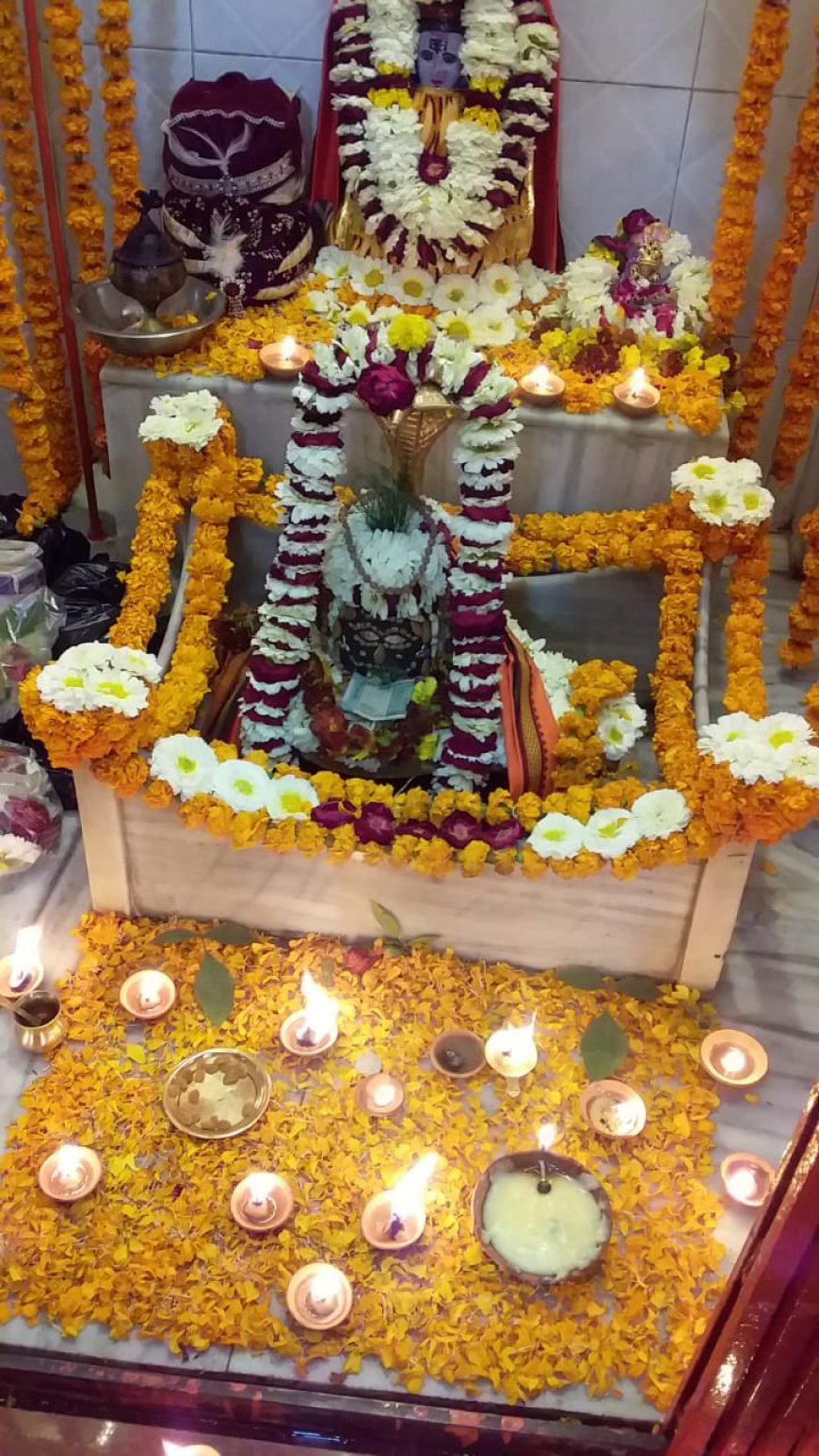 कार्तिकेश्वर महादेव मंदिर में भव्य रुद्राभिषेक: फूलों से सजा मंदिर, भक्तों ने किया पूजा-पाठ