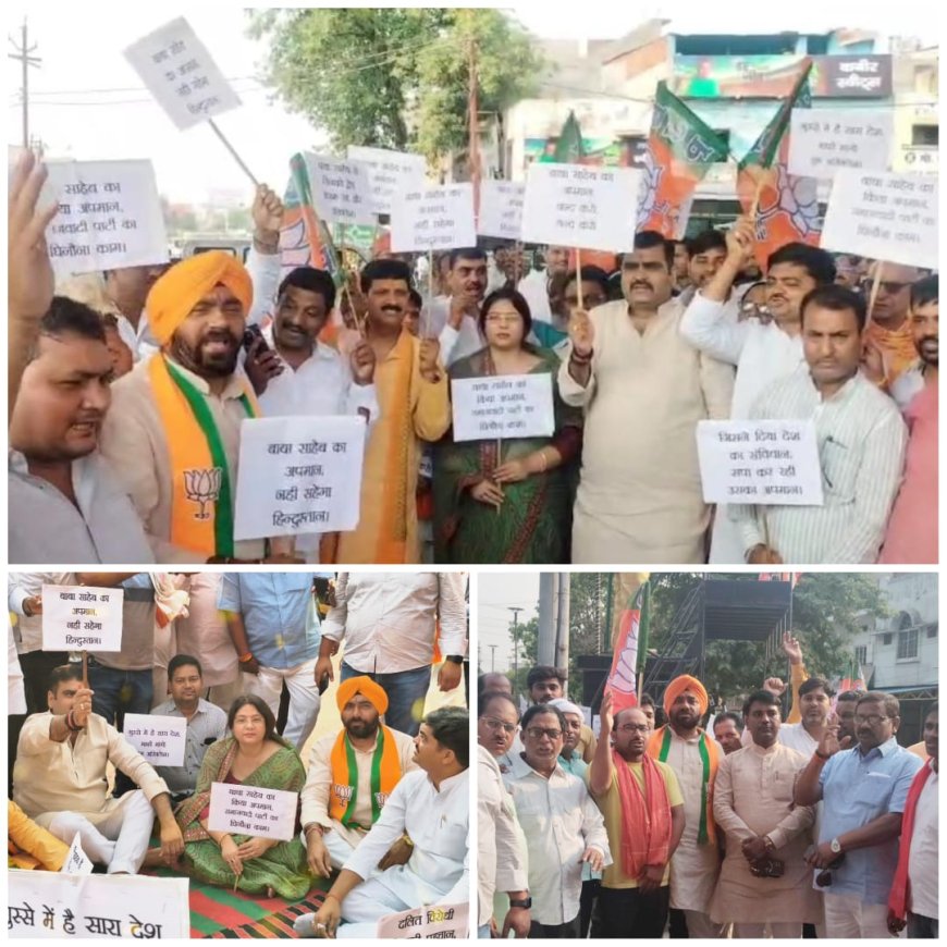 डॉ अंबेडकर की तस्वीर से छेड़छाड़ को लेकर भाजपा के तीनों विधायकों के साथ सैकड़ो कार्यकर्ताओं का धरना प्रदर्शन