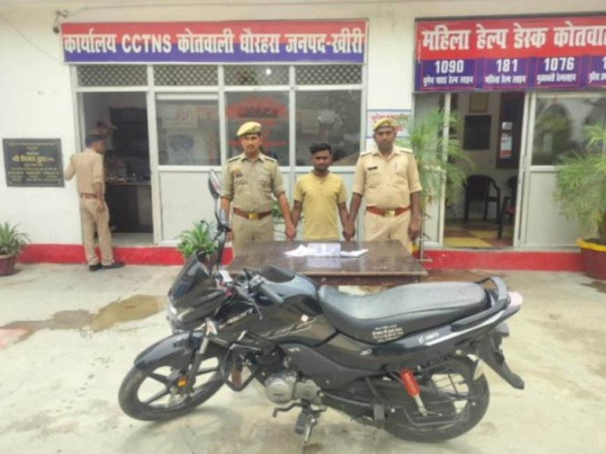 अंतर्जनपदीय चोर को धौरहरा पुलिस ने पकड़ा, चोरी व छिनैती का माल बरामद।