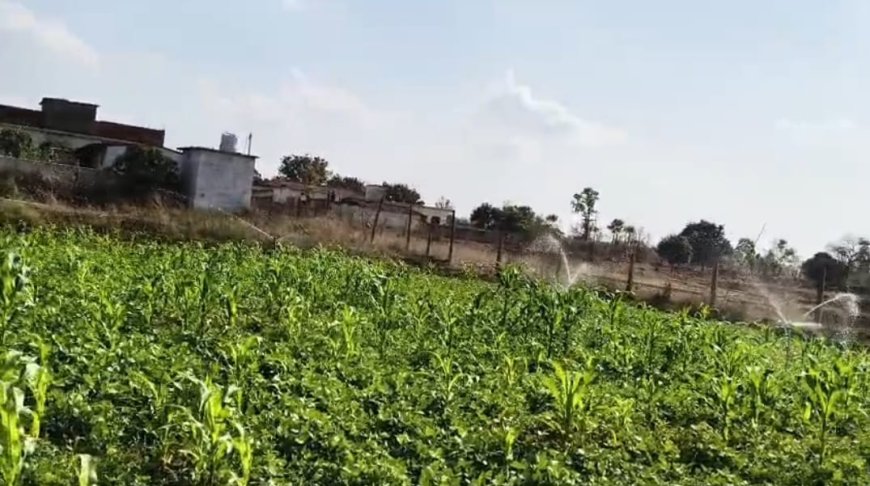 स्प्रिंकलर सिंचाई से पानी की खपत होगी कम, किसानों को मिलगी भरपूर फसल जल गंगा संवर्धन अंतर्गत पर ड्राप मोर क्राप के माध्यम से किसानो द्वारा उपलंब्ध जल किया जा रहा है सदउपयोग