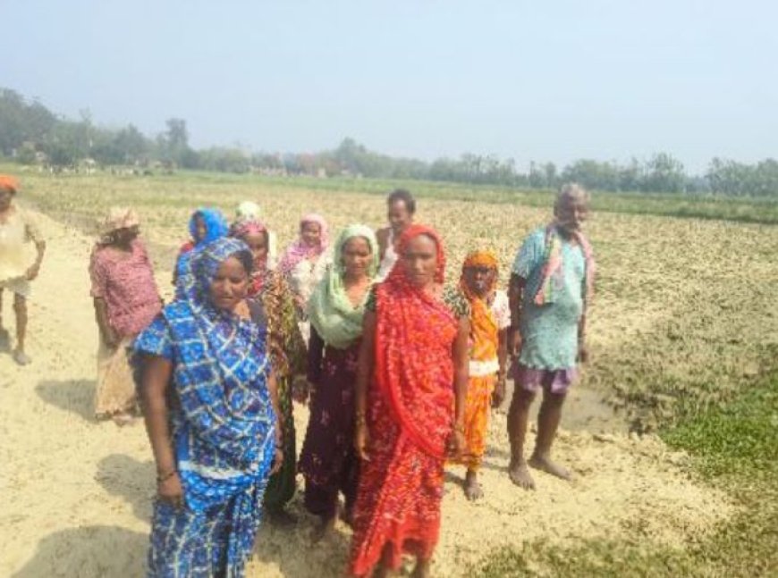 ग्राम पंचायत में मनरेगा घोटाले का आरोप