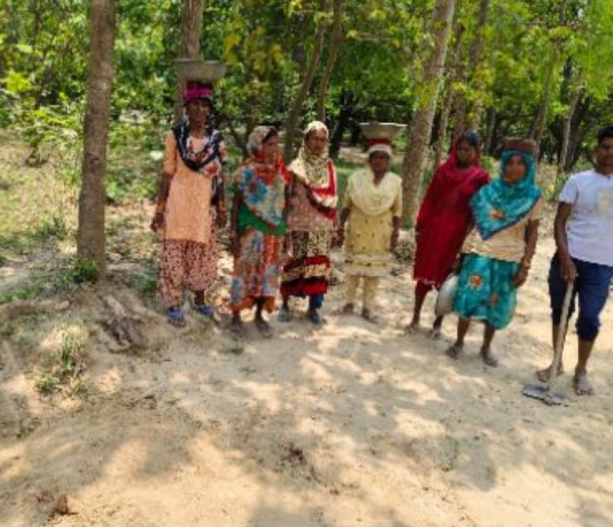 मनरेगा में खुला भ्रष्टाचार का  बड़ा खेल 10 मास्टर रोल 89 मजदूरों की हाजिरी लेकिन मौके  पर एक  भी नहीं