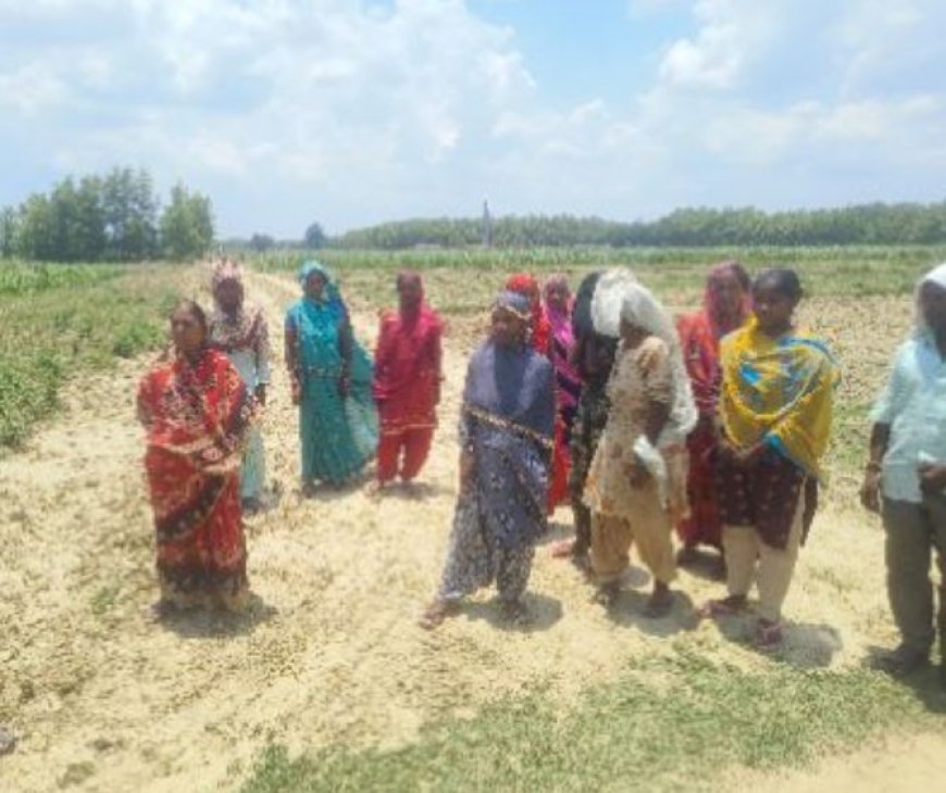 मनरेगा में खुला भ्रष्टाचार का बड़ा खेल 12 मास्टर रोल 114 मजदूरों की हाजिरी लेकिन मौके पर एक भी नहीं