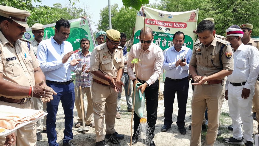 भदोही में विश्व पर्यावरण दिवस पर डीएम एसपी ने किया वृक्षारोपण