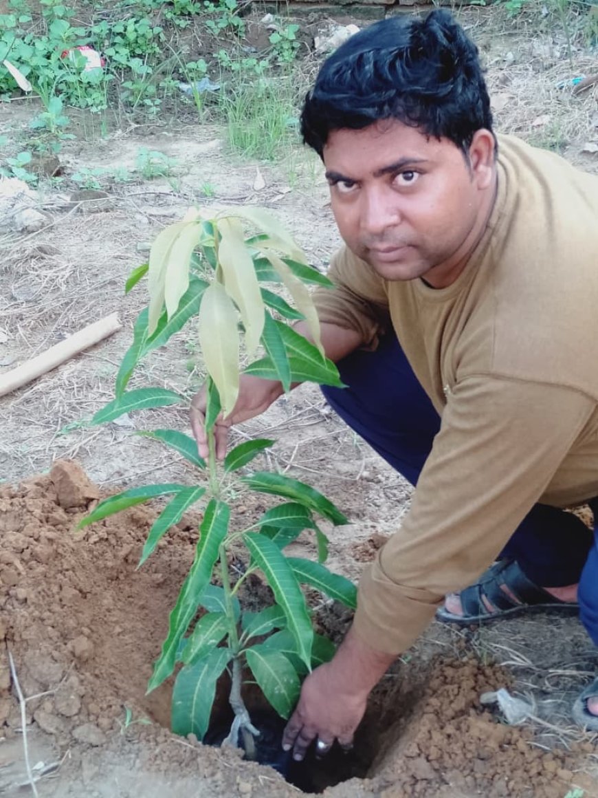 वृक्षारोपण कम प्रदूषण : डॉ अखलाक अहमद