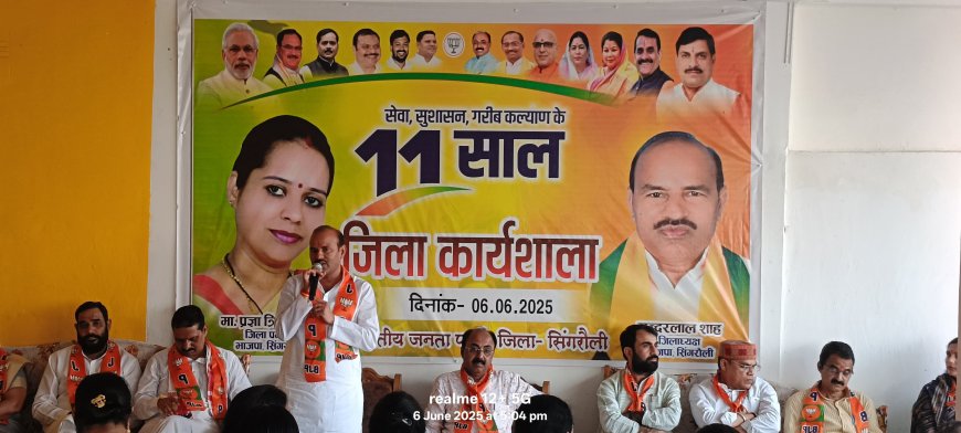 मोदी सरकार के 11 वर्ष,  संकल्प से सिद्धि अभियान की विशेष कार्यशाला सम्पन्न
