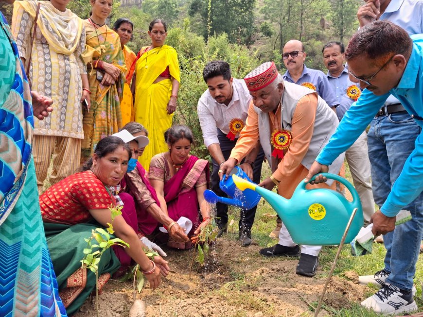 जल संरक्षण और संवर्धन के लिए मनाया गया जल उत्सव।