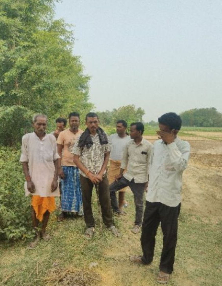 मनरेगा में खुला भ्रष्टाचार का बड़ा खेल तीन मास्टर रोल 17 मजदूरों की हाजिरी लेकिन मौके पर एक भी नहीं