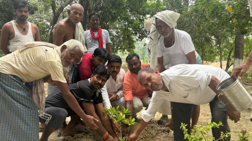 धरा पर एक वृक्ष मां के नाम,नीरज वर्मा