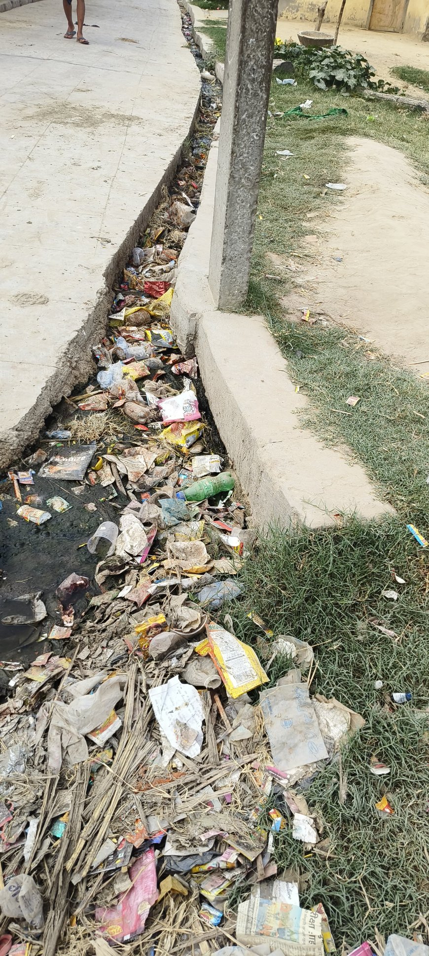 ग्राम पंचायत मिश्रौलिया में सफाई व्यवस्था ठप 6 माह से नदारद सफाई कर्मी गांव में गंदगियों का अंबार