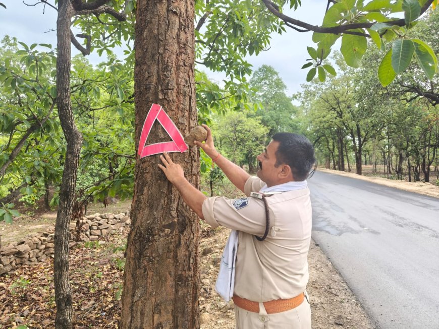 सड़क दुर्घटनाओं की रोकथाम हेतु अमिलिया घाटी में यातायात पुलिस द्वारा लगाया गया रेडियम ट्री रिफ्लेक्टर