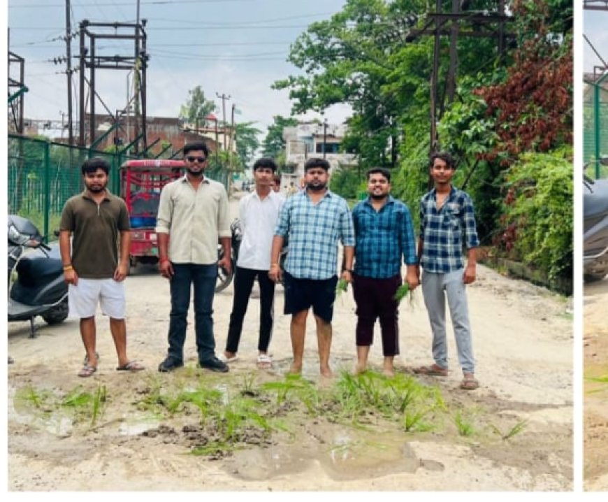 खलीलाबाद की जर्जर सड़कों पर धान रोप कर जाताया विरोध
