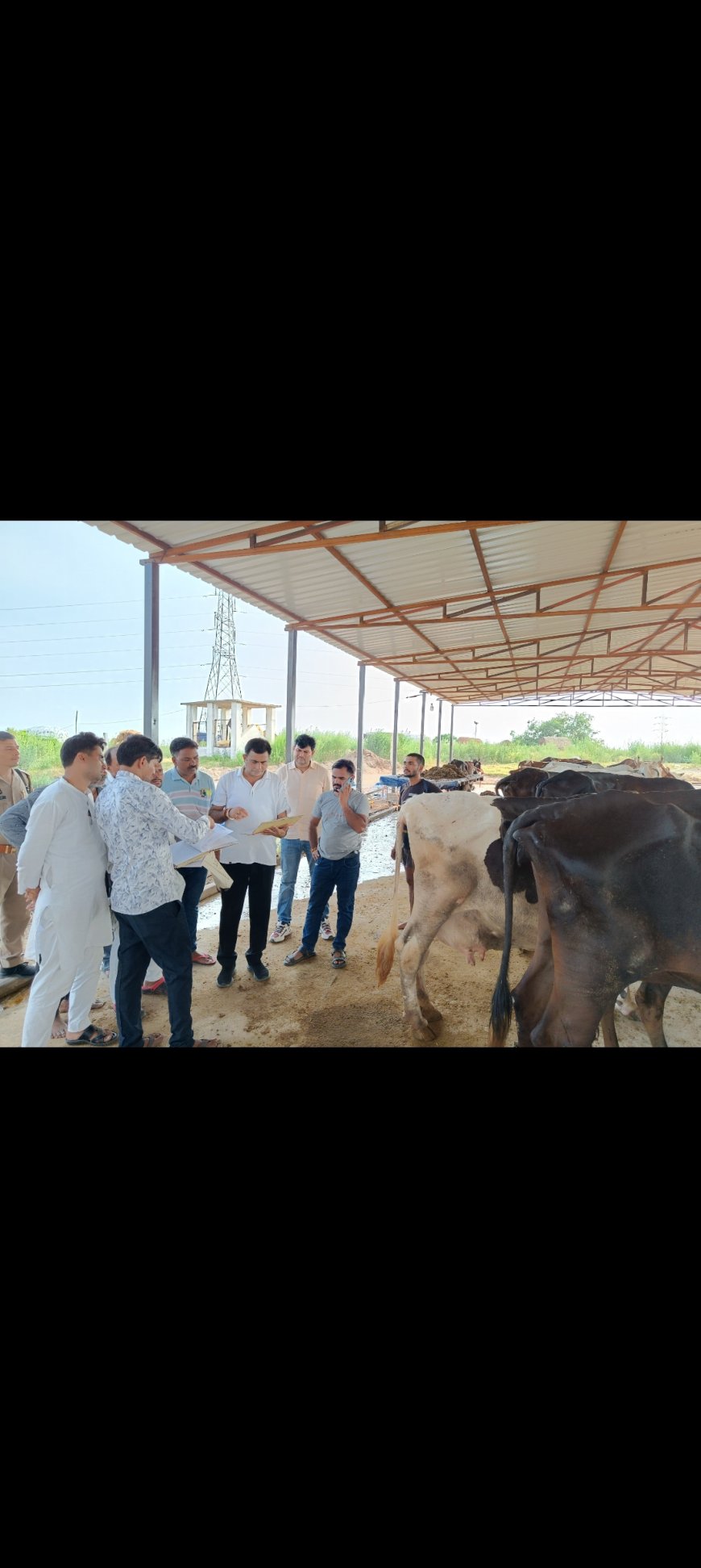ग्राम खेतलपुर बसोली रायपुर तालाब की गौशाला का किया औचक निरीक्षण