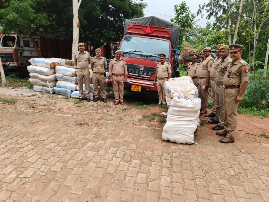 दुद्धी पुलिस की बड़ी कार्रवाई, 10 कुंतल गांजा बरामद