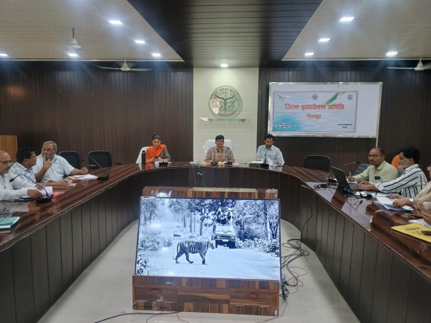 जिलाधिकारी  शिवशरणप्पा जी एन की अध्यक्षता में वृक्षारोपण अभियान- 2035 से संबंधित बैठक कलेक्ट्रेट सभागार में संपन्न हुई।