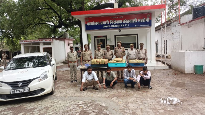 *थाना महरौनी अंतर्गत वाहन चेकिंग अभियान में 14 लाख रुपए के गांजे सहित 4 अभियुक्त गिरफ्तार*