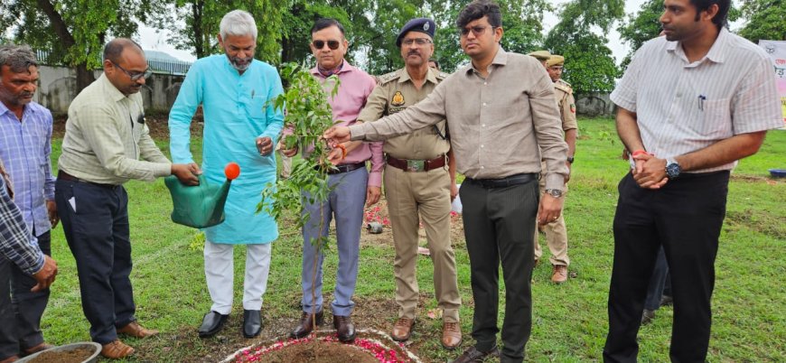 मंडला आयुक्त चित्रकूट धाम मंडल बांदा की अध्यक्षता में जिलाधिकारी एवं पुलिस अधीक्षक चित्रकूट की उपस्थिति में वृक्षारोपण समिति की समीक्षा बैठक कलेक्ट्रेट सभागार में संपन्न हुई