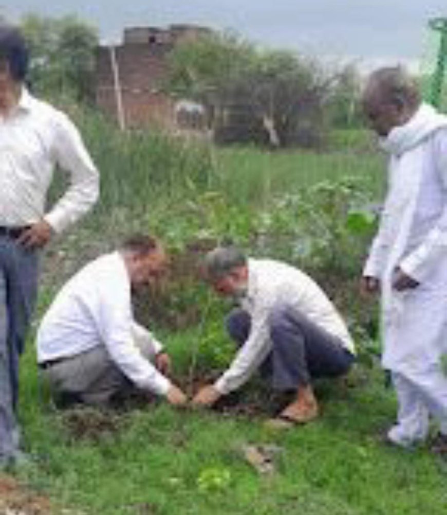 किसान क्लब सालाबाद में किया गया वृक्षारोपण सीडीओ, उपायुक्त मनरेगा तथा बीडीओ ने किया वृक्षारोपण