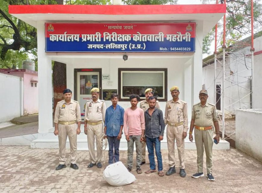 थाना महरौनी पुलिस द्वारा चोरी के अभियोग में वांछित 03 नफर अभियुक्त को किया गया गिरफ्तार