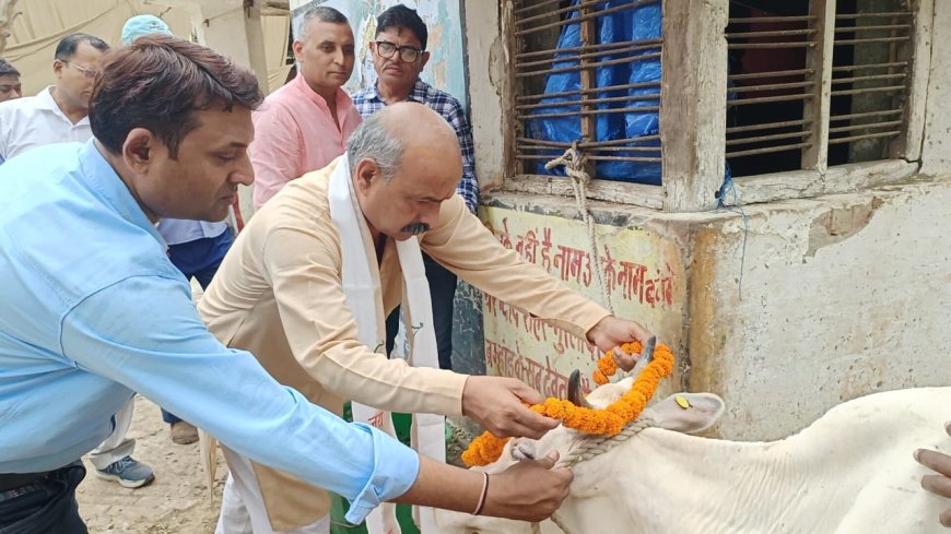 सदस्य उत्तर प्रदेश गोसेवा आयोग लखनऊ रमाकान्त उपाध्याय का जनपद भ्रमण एवं गौशाला किया निरीक्षण