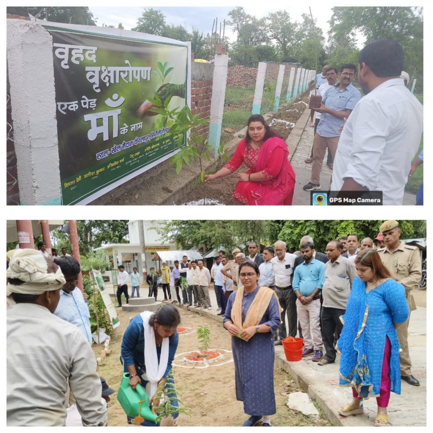 पर्यावरण संरक्षित रखने हेतु एक पेड़ मां के नाम वृहद रूप से किया गया वृक्षारोपण