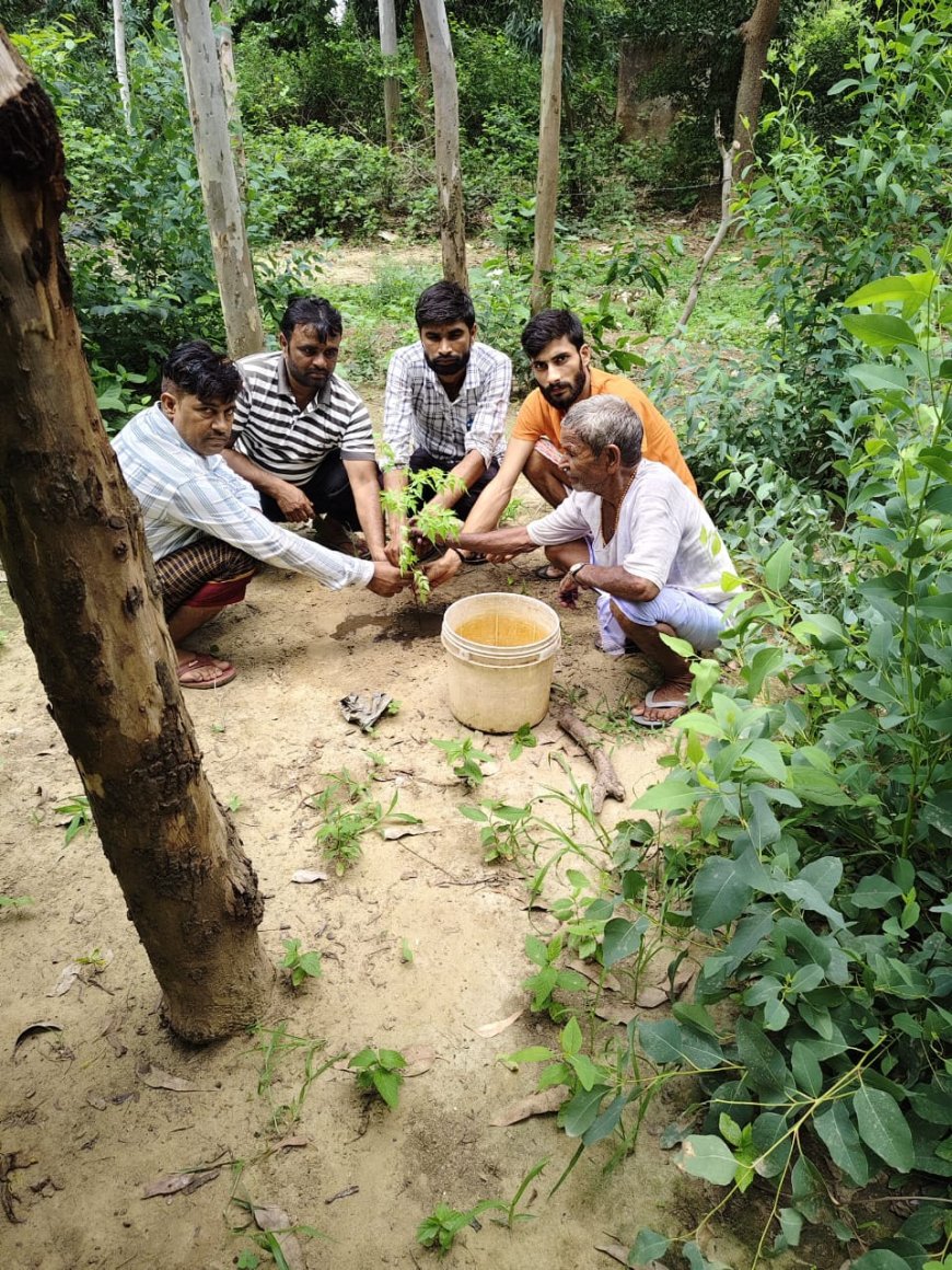 पर्यावरण संरक्षित रखने हेतु दूसरे दिन भी पेड रोपित किए गए
