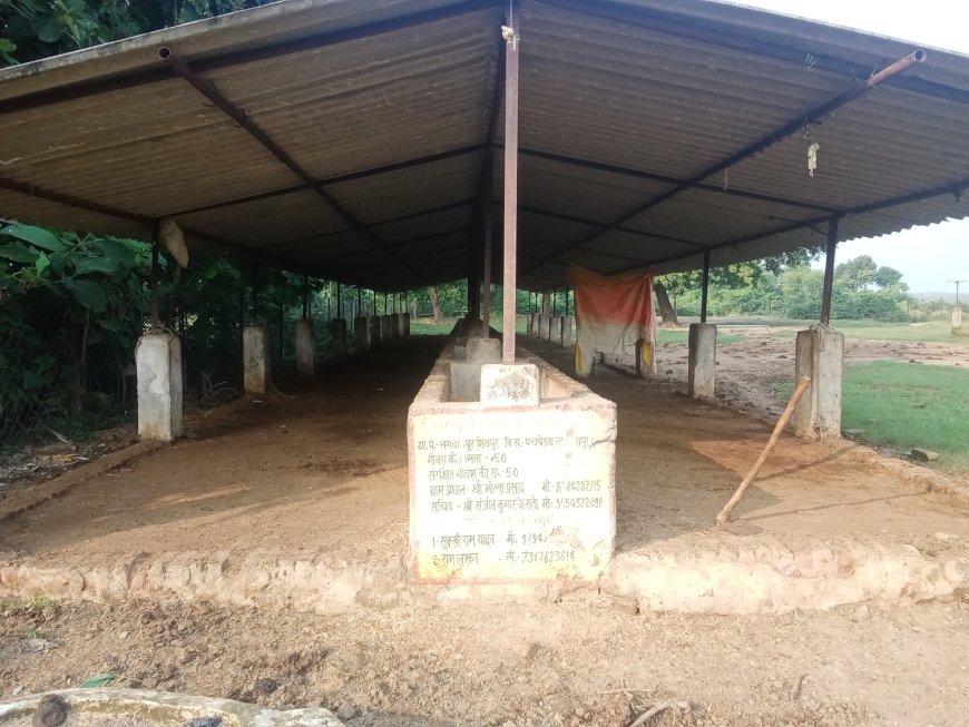 गौशाला में भूख से तड़प रही हूं कोई सहारा नहीं मदद करूं