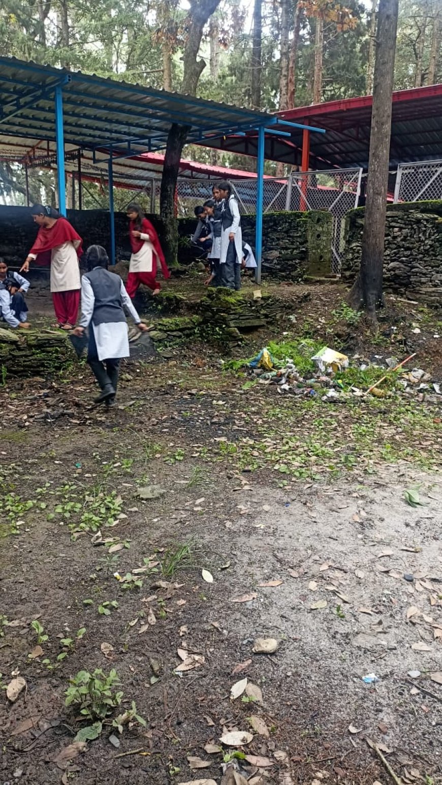 हरेला पर्व पर सरस्वती विद्या मंदिर तिमली के छात्रों ने किया सफाई एवं वृक्षारोपण कार्यक्रम।