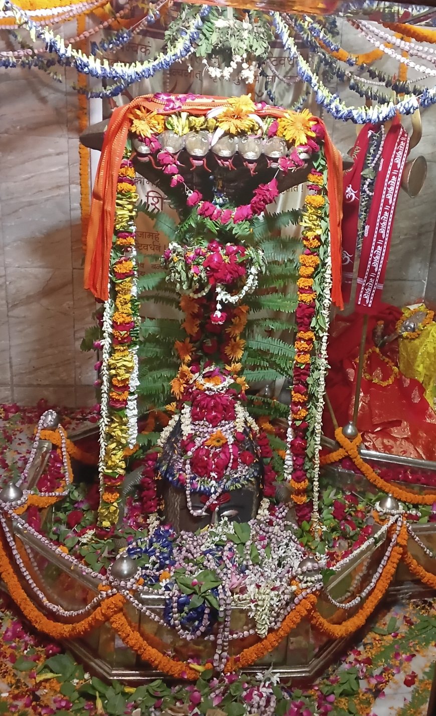 मिर्जापुर: सावन के पहले सोमवार को तारकेश्वर महादेव मंदिर में उमड़ी भक्तों की भीड़