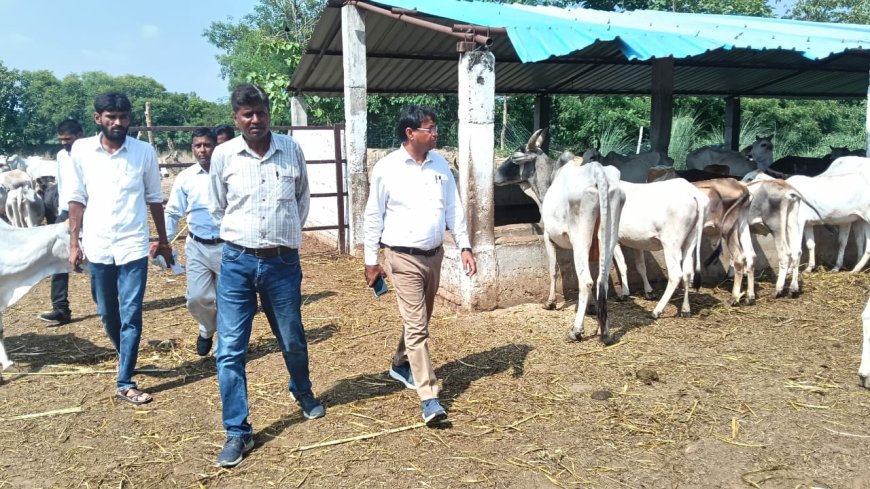 खंण्ड विकास अधिकारी संजीव गुप्ता ने हजरतपुर गौशाला का औचक निरीक्षण किया दिया आवाश्यक दिशा निर्देश