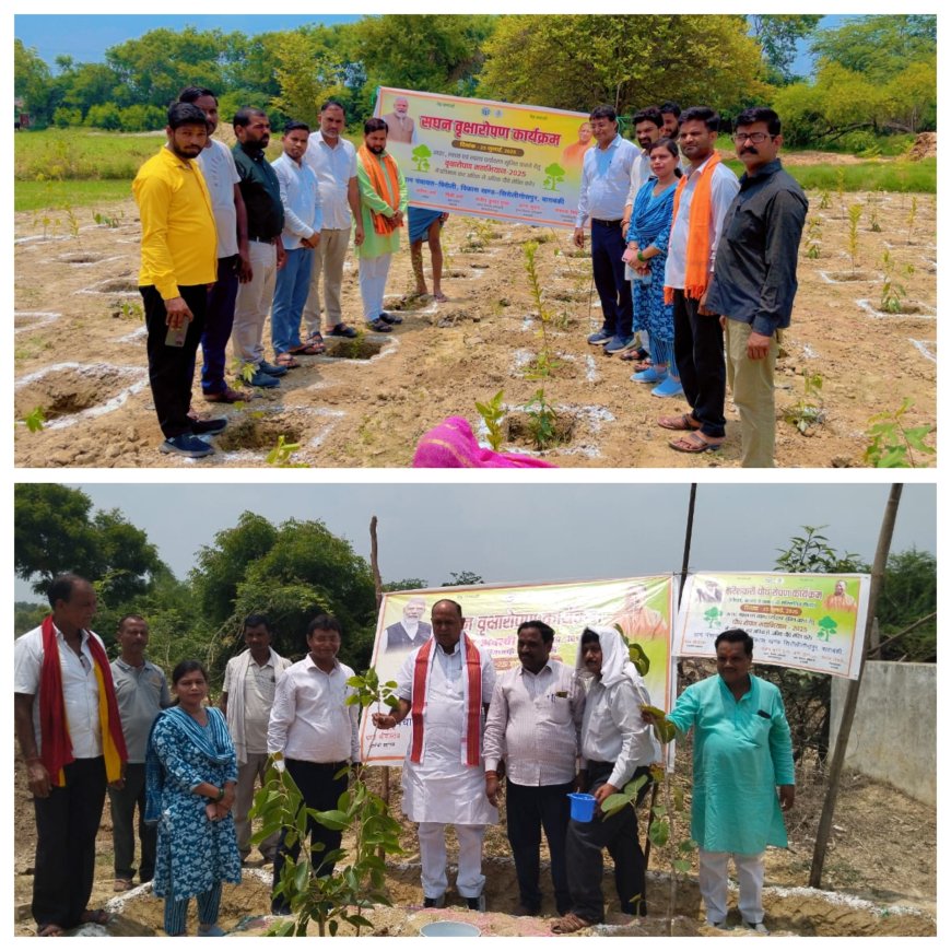 सिरौलीगौसपुर क्षेत्र में वृक्षारोपण सघन अभियान चलाया गया पूर्व विधायक,बी डी ओ, ब्लाक प्रमुख भाजपा मंण्डल अध्यक्ष आदि जनप्रतिनिधियों ने वृक्ष रोपित किया