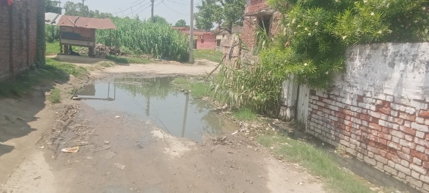 सिसहनिया घोपालपुर में गंदगियो का अंबरा बच्चों की सहित पर मंडराता खतरा प्रशासन मौन