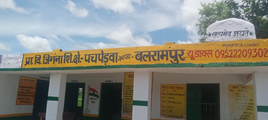 विद्यालय मैं शिक्षा नहीं बच्चों की भविष्य से हो रहा खिलवाड़ जिगना प्राथमिक विद्यालय की हकीकत