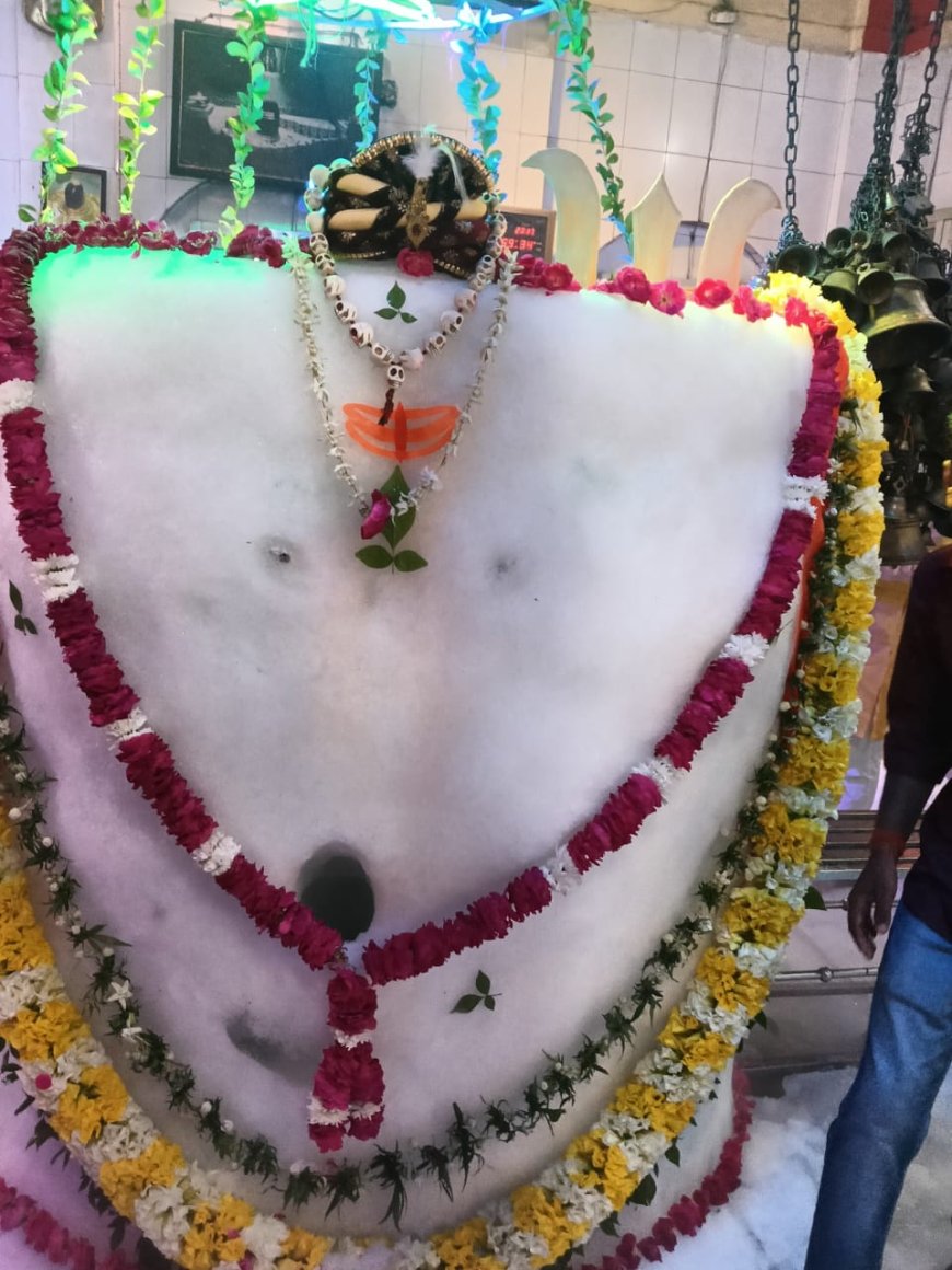 श्रावण मास के तृतीय सोमवार की पूर्व संध्या पर गौरीशंकर बाबा का भव्य श्रंगार कर दिया गया बर्फानी का रूप
