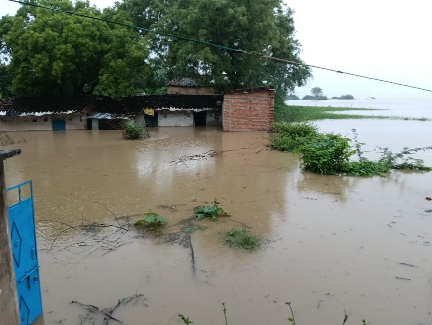 बाढ़ का कहर: यमुना-बेतवा के उफान से बरुआ गांव बना टापू,लोगो के घरों में घुसा पानी, ग्रामीणों ने ऊंचे स्थानों में ली शरण