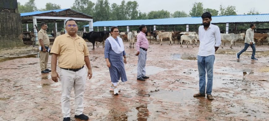 एस डी एम तहसीलदार ने हजरतपुर गौशाला का निरीक्षण किया तो बी डी ओ ने बरोलिया, श्यामनगर, ठाकुरपुर गौशाला का निरीक्षण किया दिया आवाश्यक दिशा निर्देश